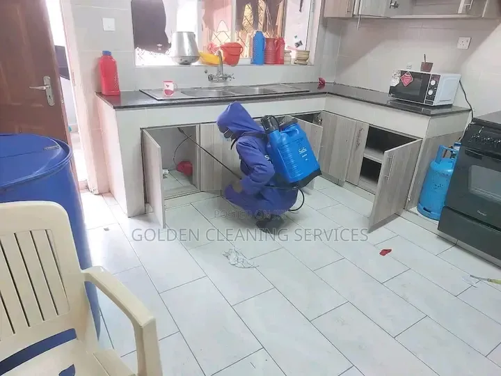 Home Cleaning and Stem