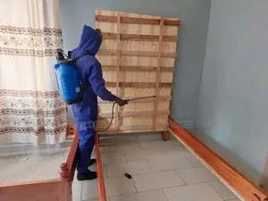 Home Cleaning and Stem
