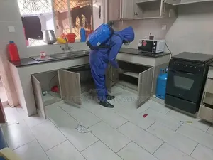 Home Cleaning and Stem