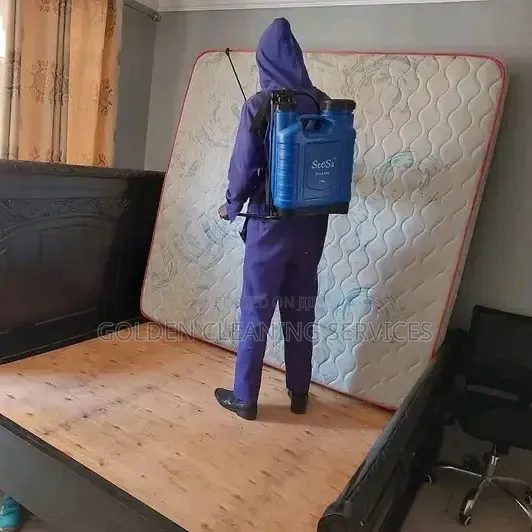 Home Cleaning and Stem