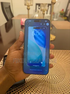 Apple iPhone 17 Pro Max 256 GB Gray