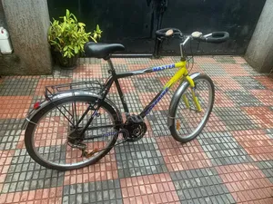 Freebike Mountain Bicycle