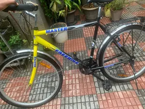 Freebike Mountain Bicycle
