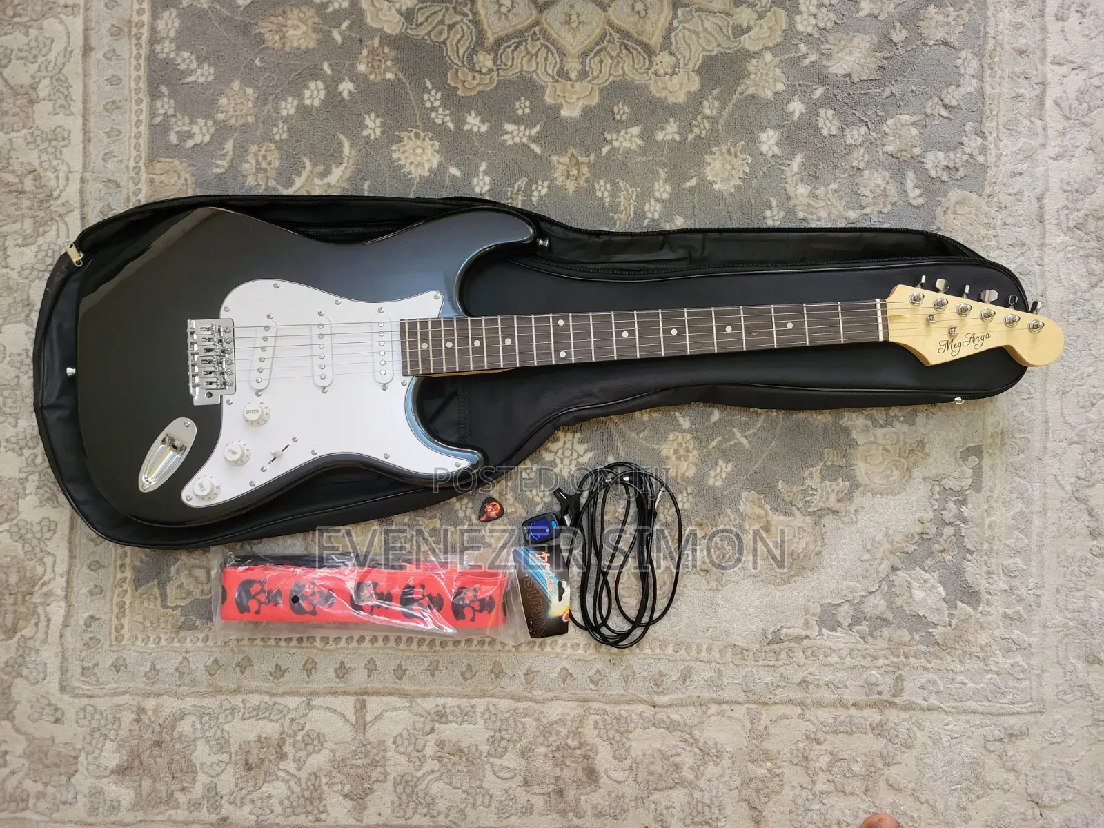 Electric Guitar