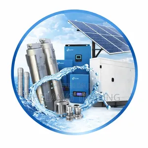Submersible Pumps