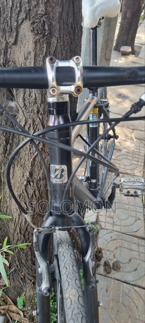 Hybrid Cycle (Ordina)