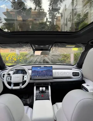 BYD Leopard 3 2025 Gray