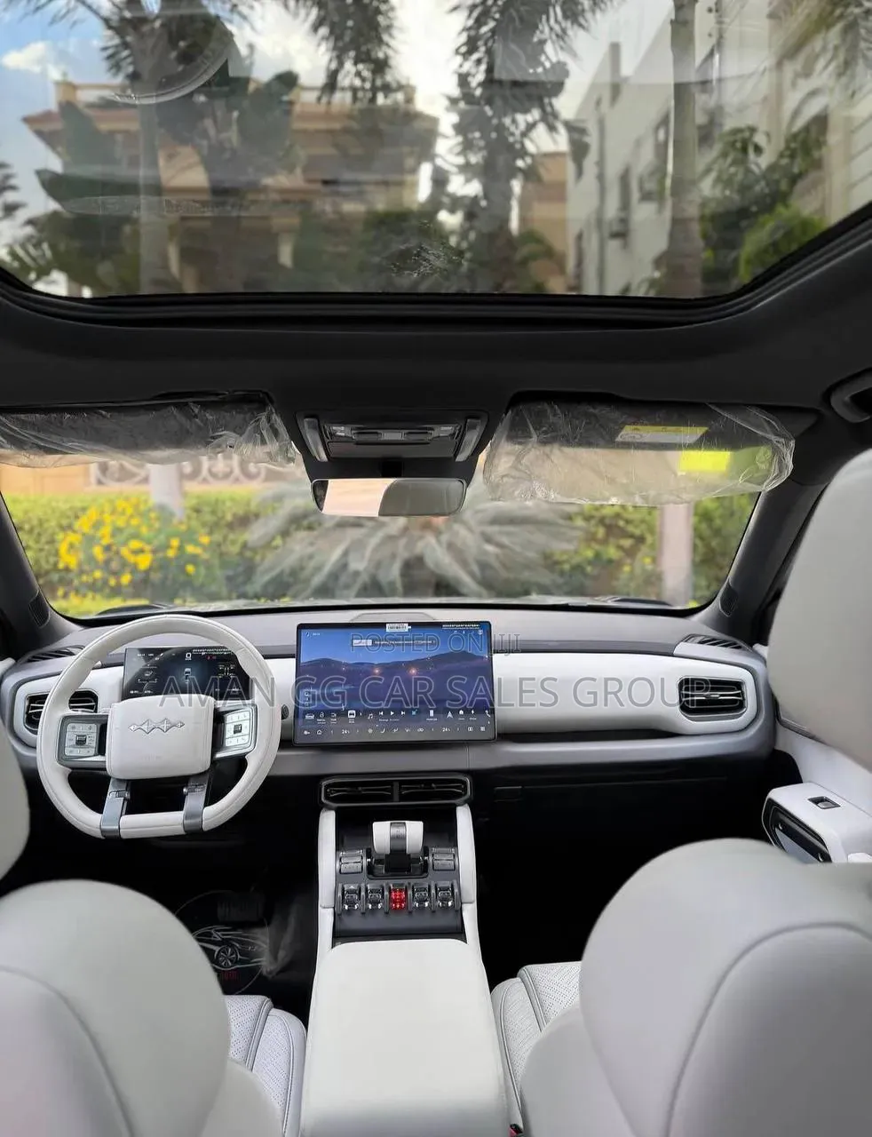BYD Leopard 3 2025 Gray