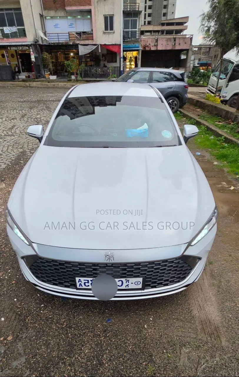 BYD Qin L DM-i 2025 White