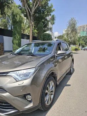 Toyota RAV4 2016