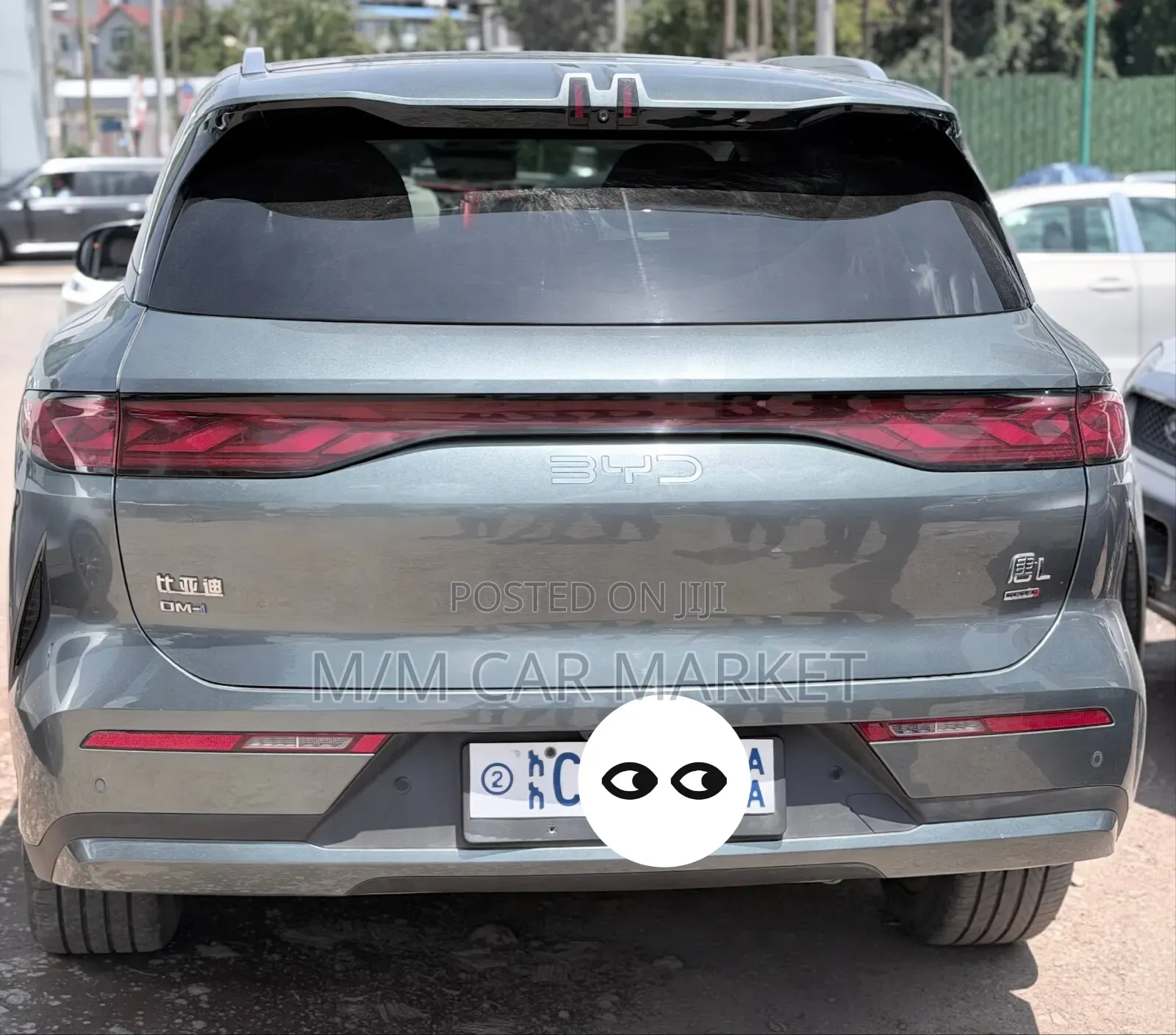 BYD Tang DM-i 2025 Green