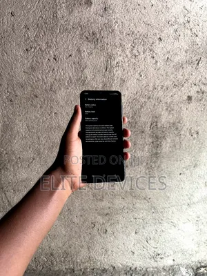 Samsung Galaxy F13 64 GB Blue