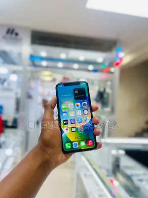 Apple iPhone X 256 GB Silver
