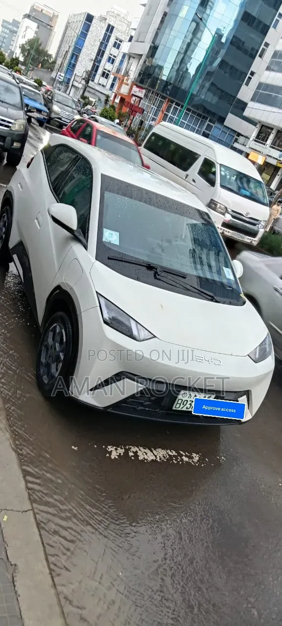 BYD Seagull 2025 White