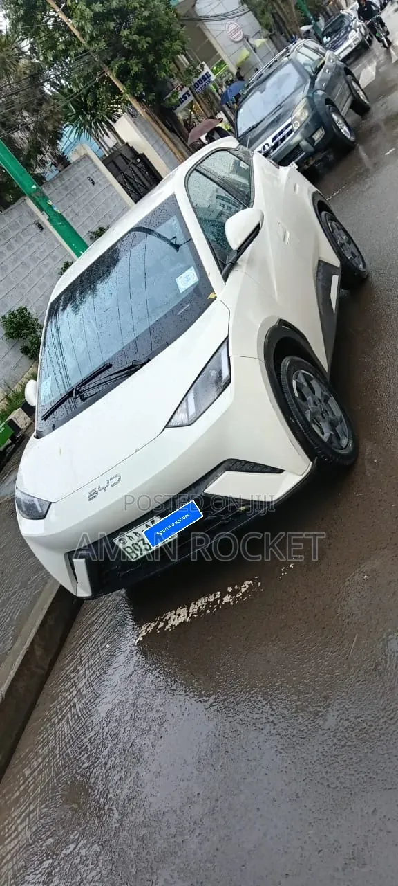 BYD Seagull 2025 White