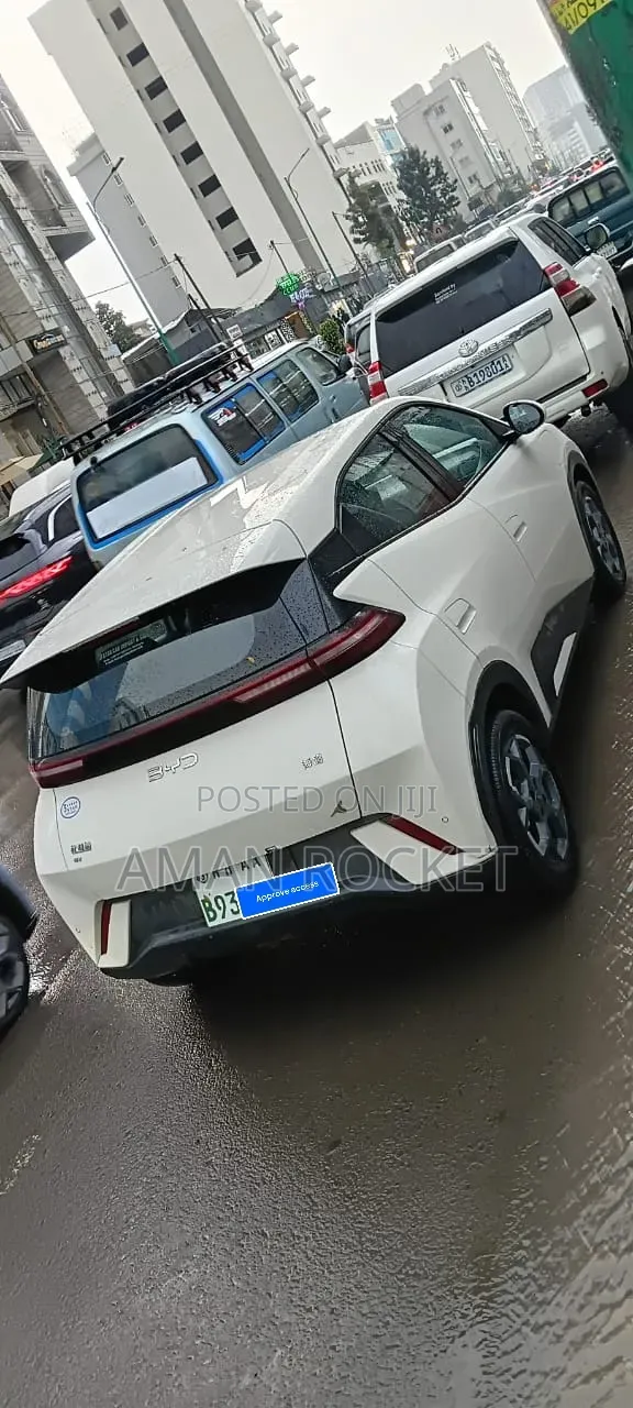 BYD Seagull 2025 White