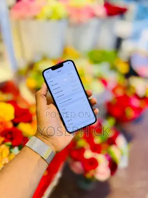 New Apple iPhone 13 128 GB Blue
