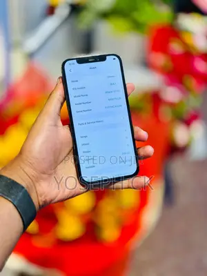 New Apple iPhone 12 Pro 256 GB Green