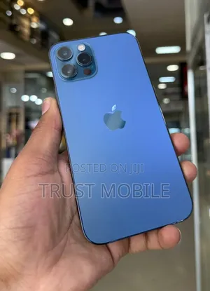 Apple iPhone 12 Pro Max 256 GB Blue