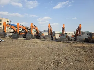 Excavator Develon