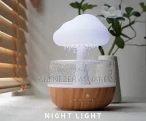 Colud Rain Humidifier