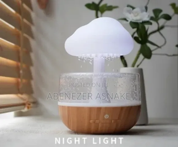 Colud Rain Humidifier