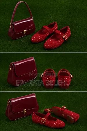 Women's Shoe and Bag