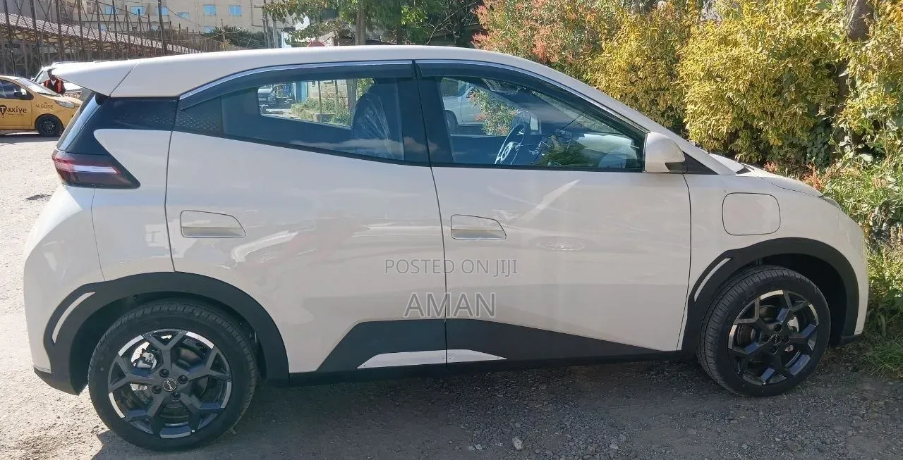 BYD Seagull 2025 White