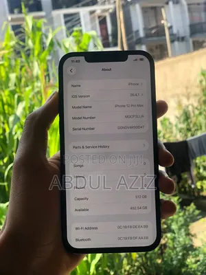 Apple iPhone 12 Pro Max 512 GB Blue