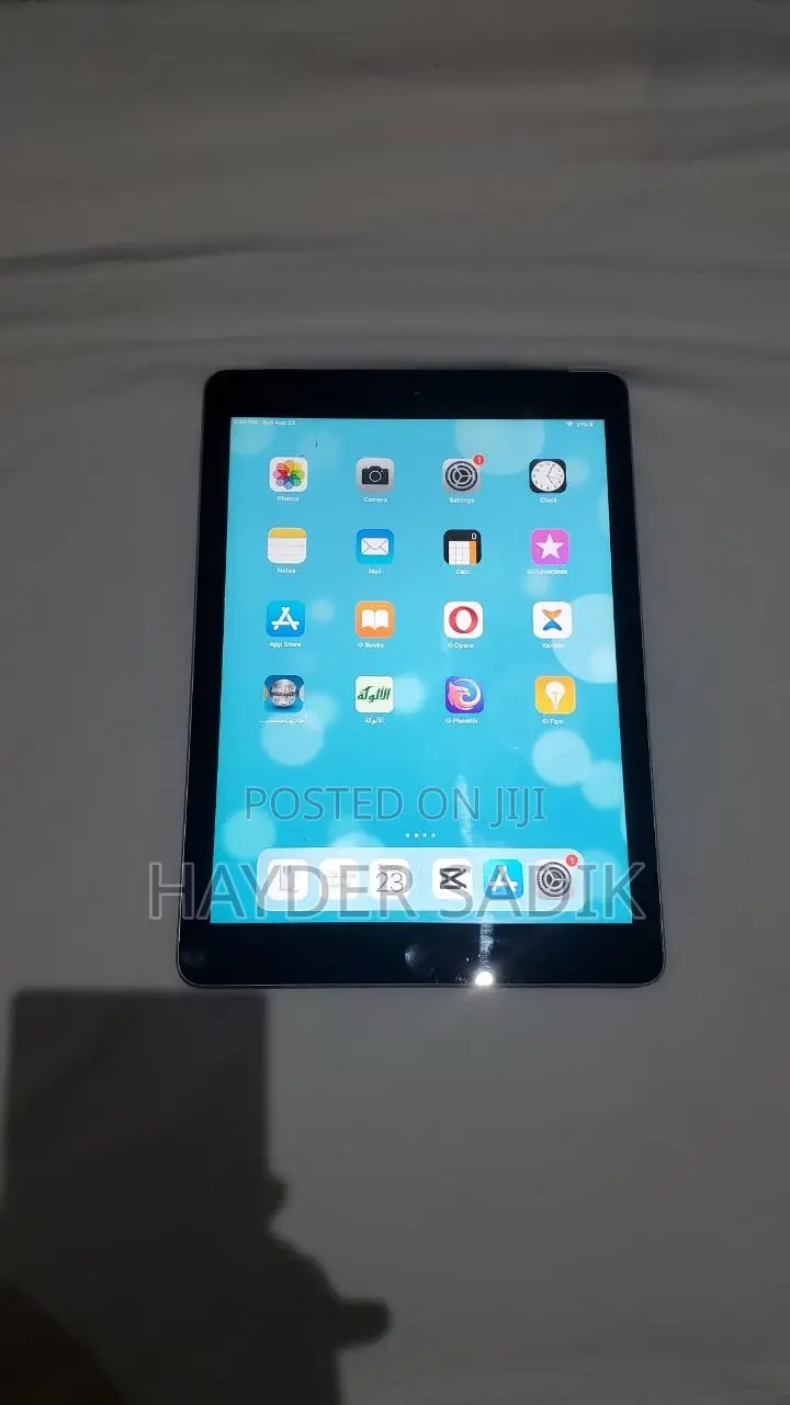 Apple iPad Air 16 GB Silver