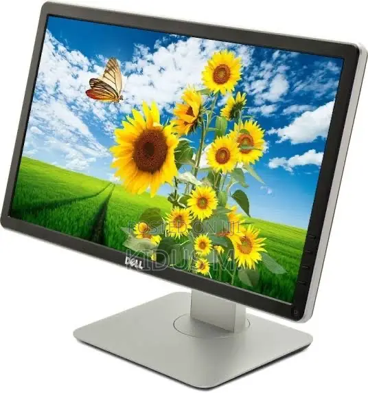 Dell P2016 19.5-Inch LED-backlit LCD Monitor.