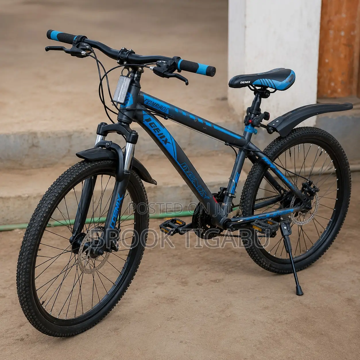 Denix Metal Body Bike