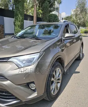 Toyota RAV4 2017 Brown