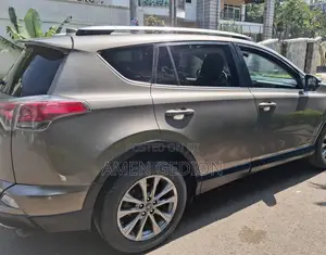 Toyota RAV4 2017 Brown