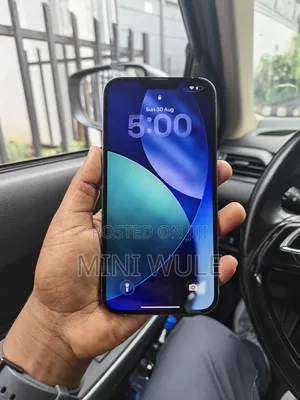 New Apple iPhone 13 Pro Max 256 GB Blue