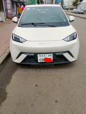 BYD Seagull 2023