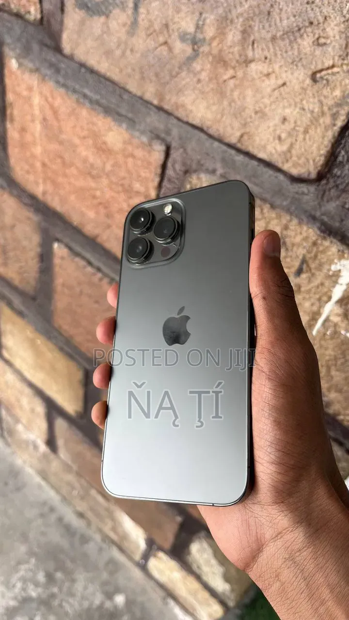Apple iPhone 13 Pro Max 256 GB Gray