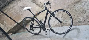 Ordina (Japan Cycle)