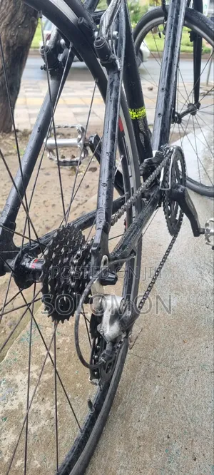 Ordina (Japan Cycle)