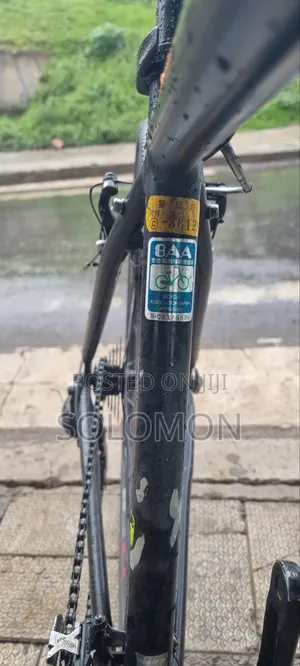 Ordina (Japan Cycle)