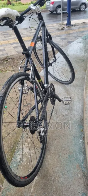 Ordina (Japan Cycle)