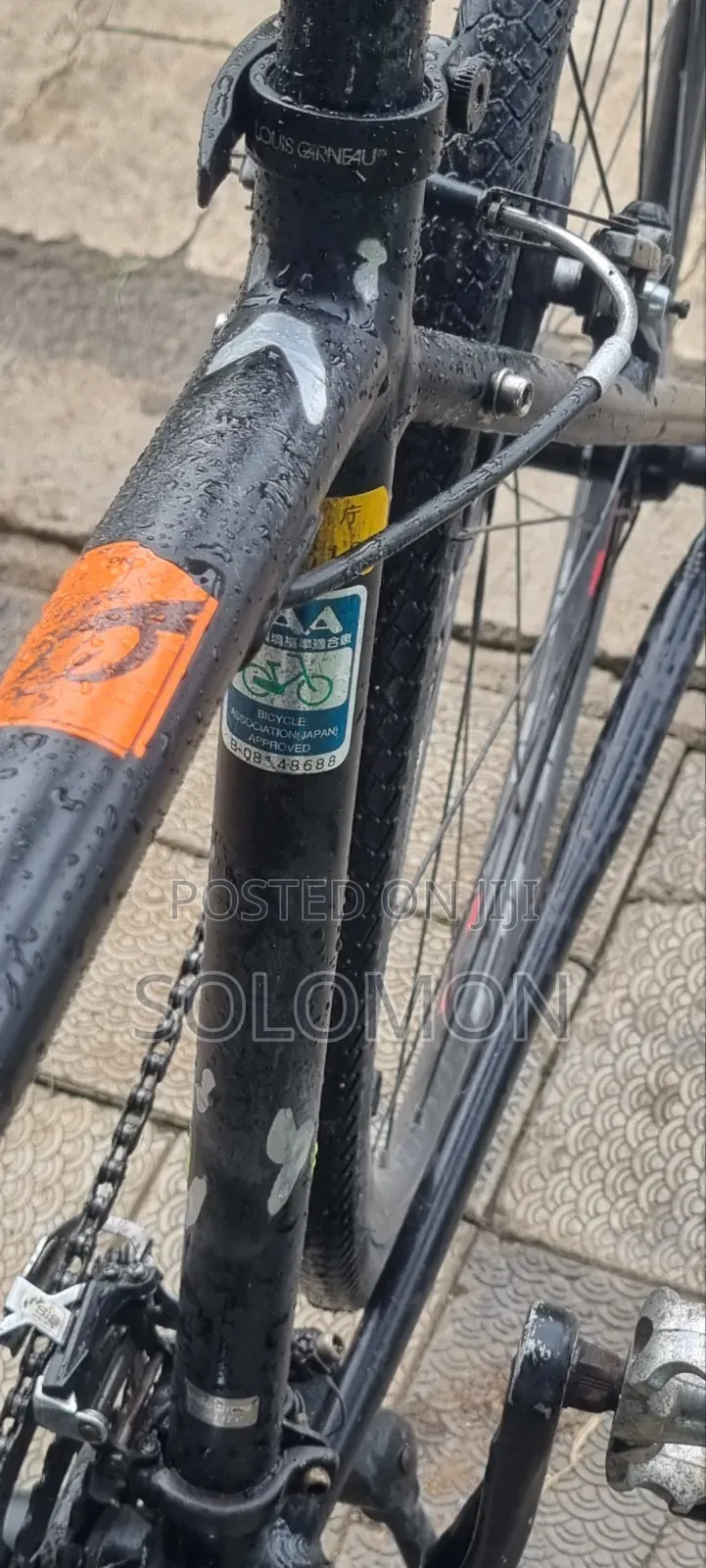 Ordina (Japan Cycle)