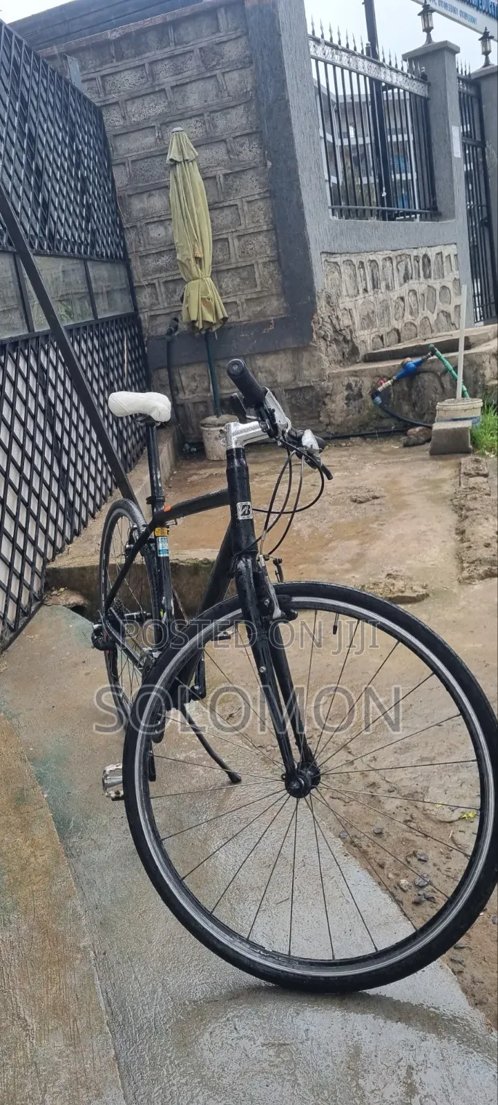 Ordina (Japan Cycle)