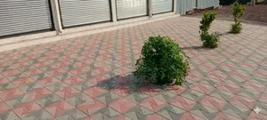 Terazooo Terrazzo