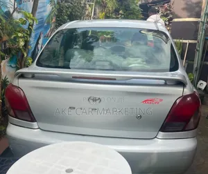 Toyota Platz 2001 Silver