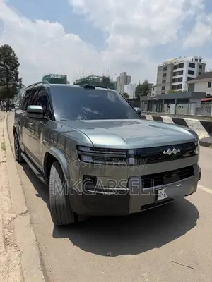 BYD Leopard 7 2025