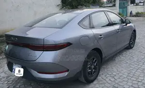 BYD Qin Plus DM-i 2025 Gray