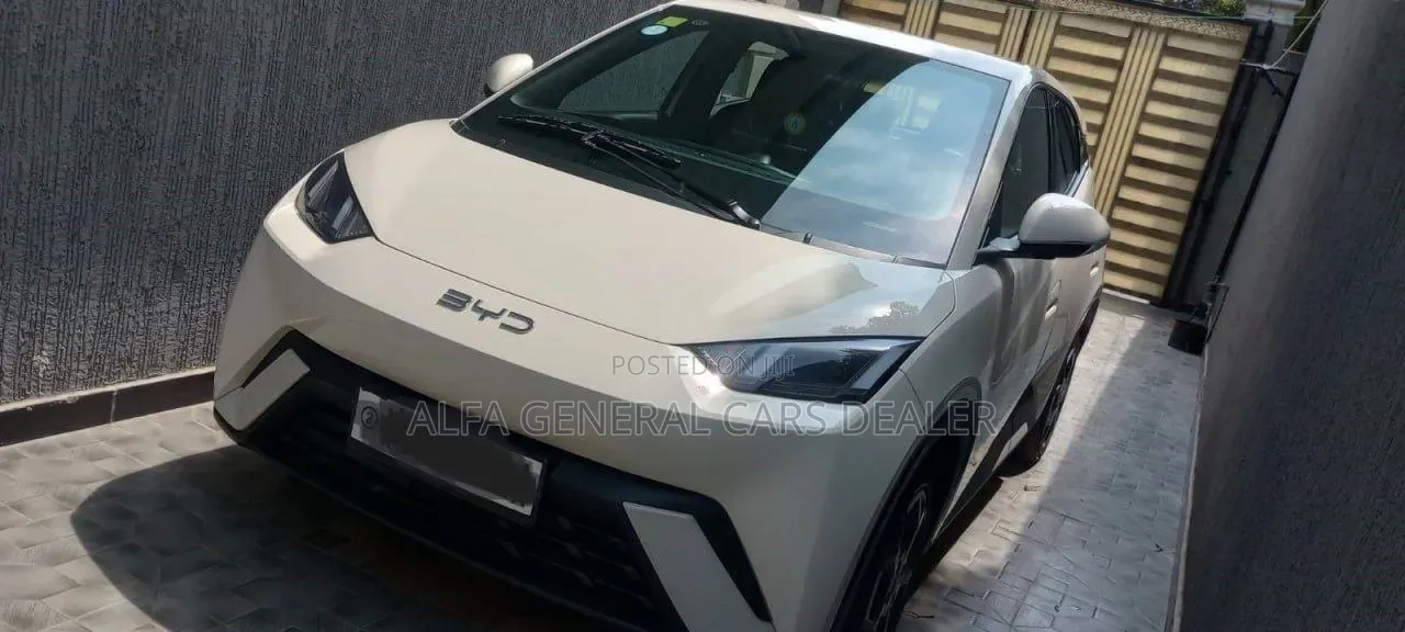BYD Seagull 2025