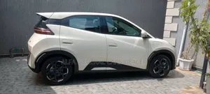 BYD Seagull 2025