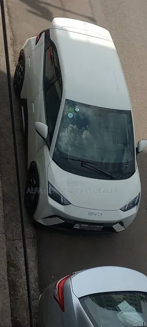 BYD Seagull 2025